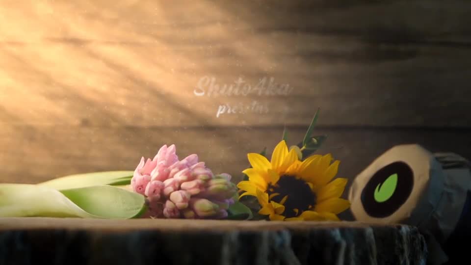 Flower Shop Promo (Wedding, Valentines Day) Videohive 19382577 After Effects Image 1