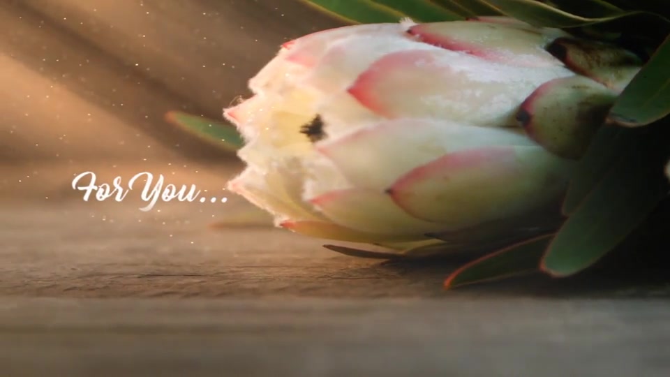 Flower Shop Promo (Wedding, Valentines Day) Videohive 19382577 After Effects Image 4
