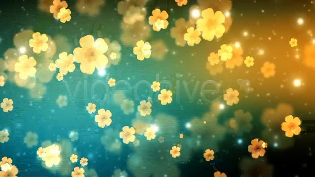Flower Show - Download Videohive 3274424