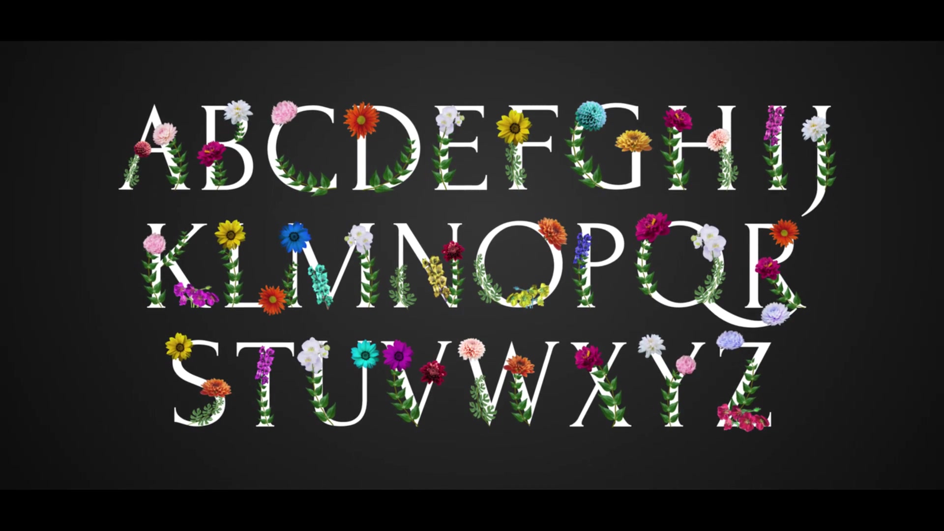 Flower Typeface | After Effects Videohive 38550255 After Effects Image 10