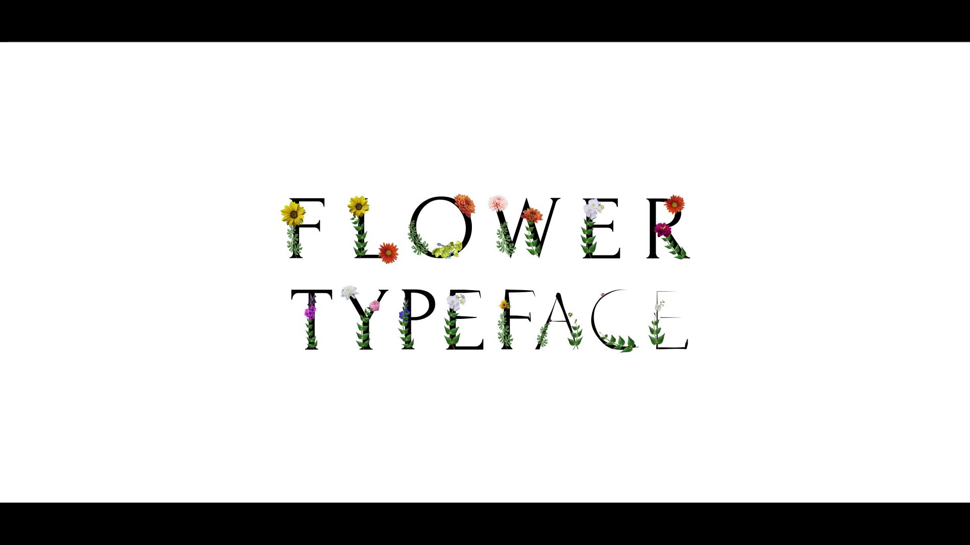 Flower Typeface | After Effects Videohive 38550255 After Effects Image 2