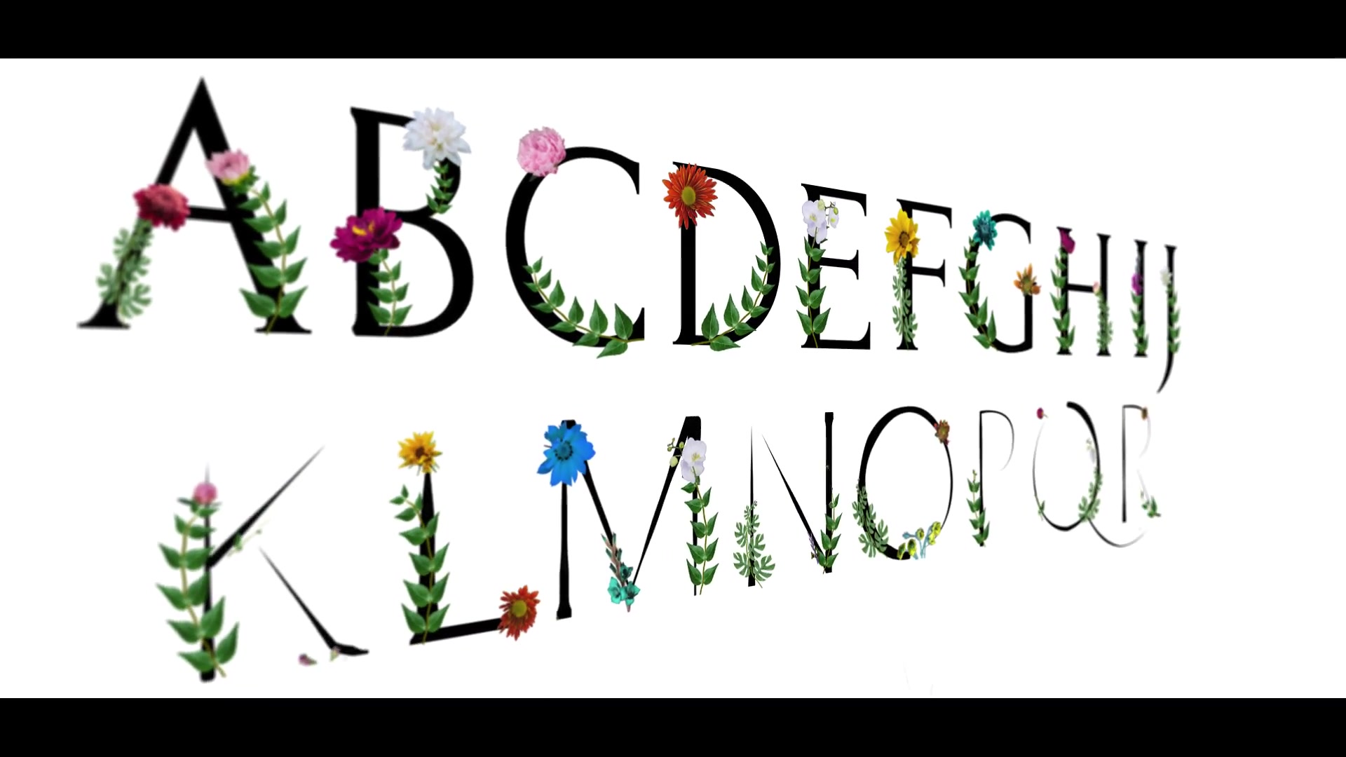 Flower Typeface | After Effects Videohive 38550255 After Effects Image 4