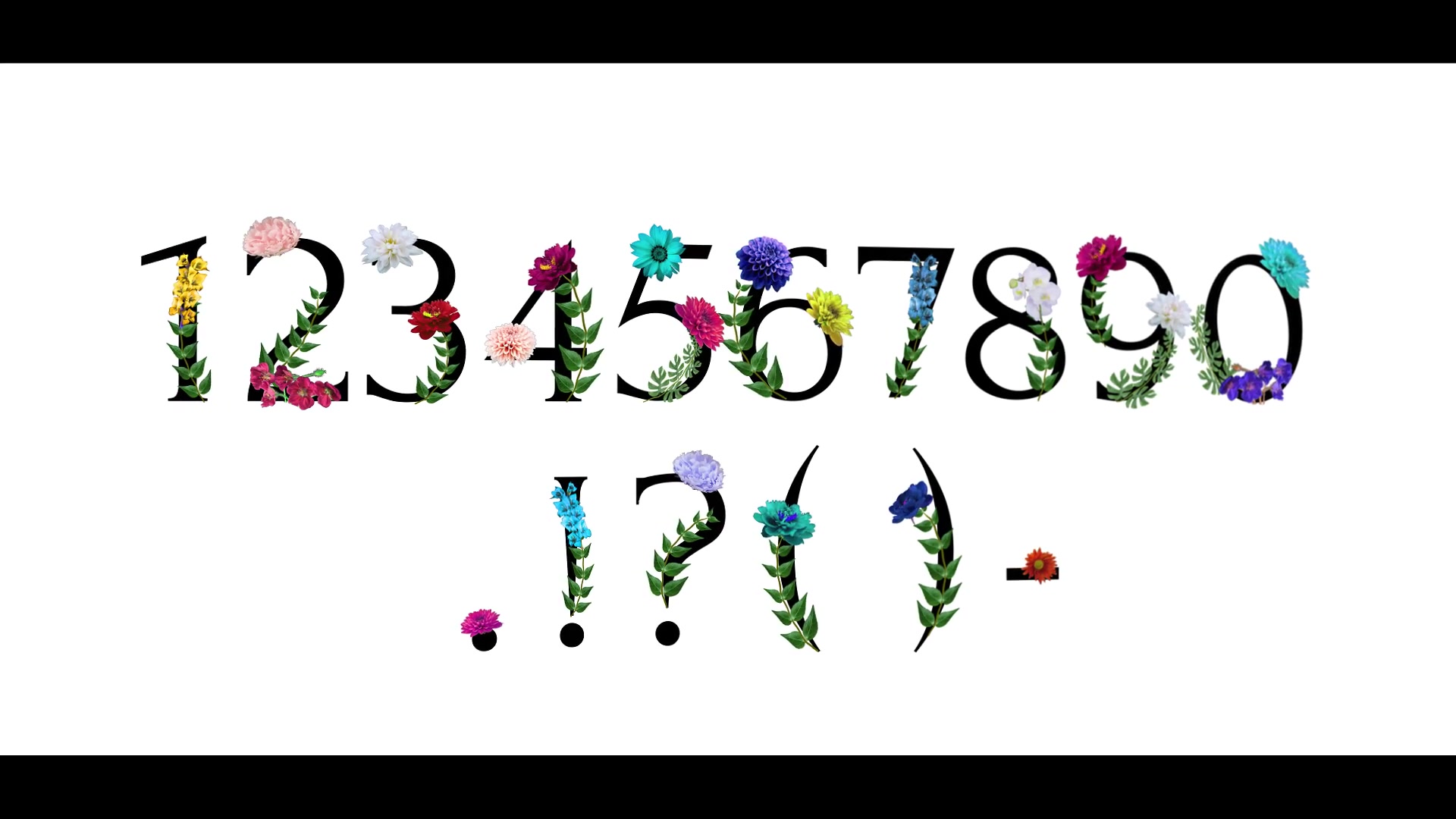 Flower Typeface | After Effects Videohive 38550255 After Effects Image 7