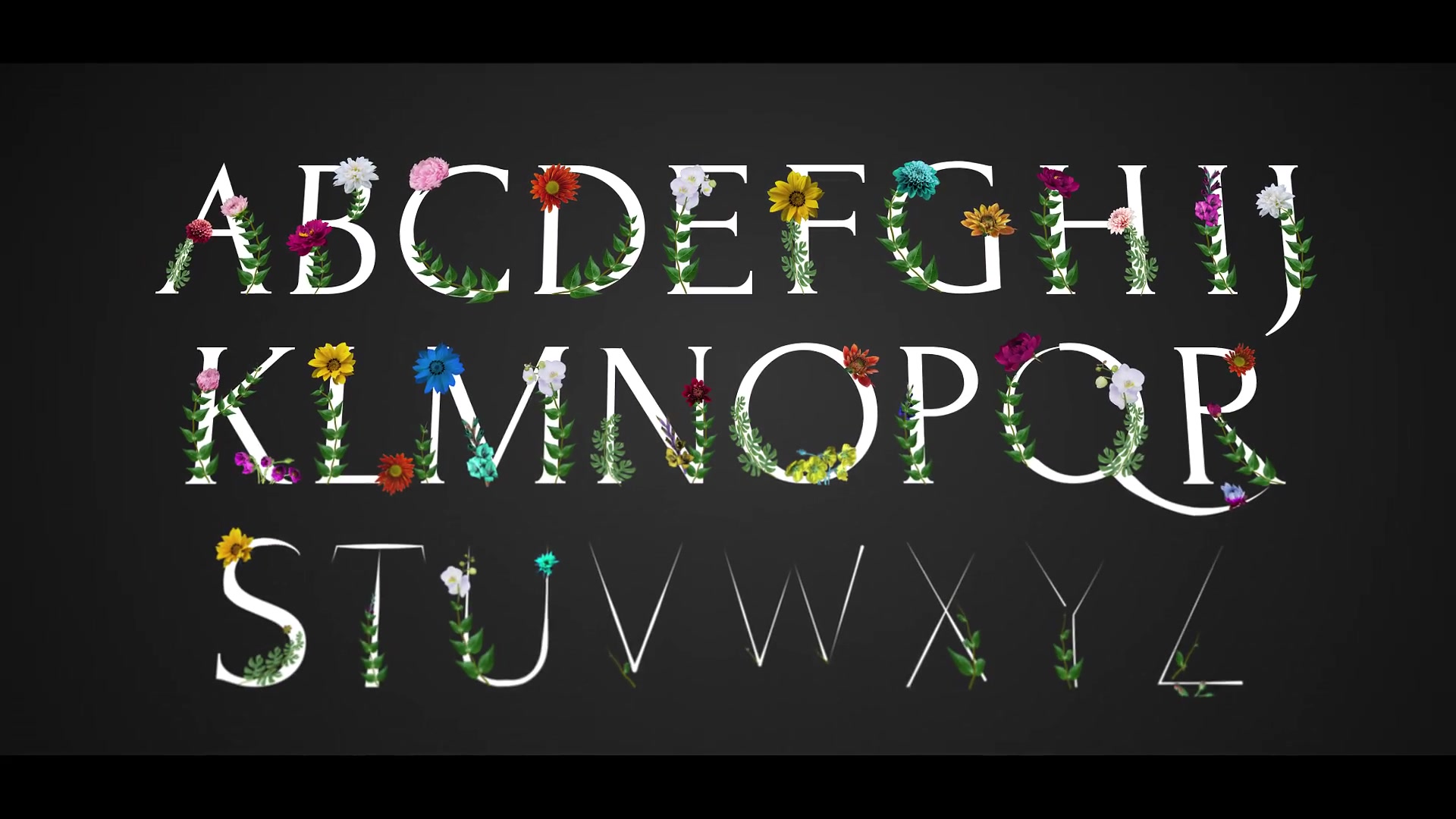 Flower Typeface | After Effects Videohive 38550255 After Effects Image 9