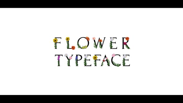 Flower Typeface | After Effects - Videohive 38550255 Download