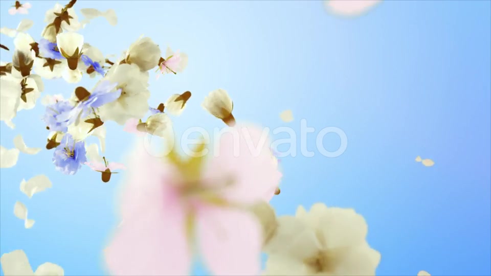 Flowers and Petals Logo Videohive 25477526 After Effects Image 2