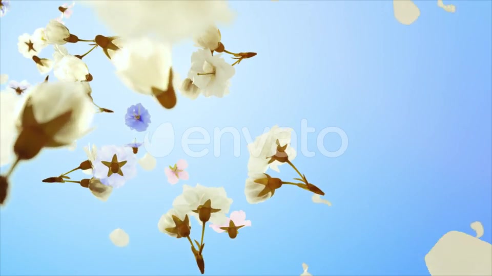 Flowers and Petals Logo Videohive 25477526 After Effects Image 3
