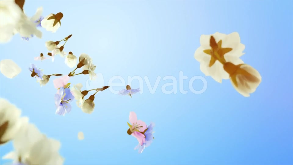 Flowers and Petals Logo Videohive 25477526 After Effects Image 4