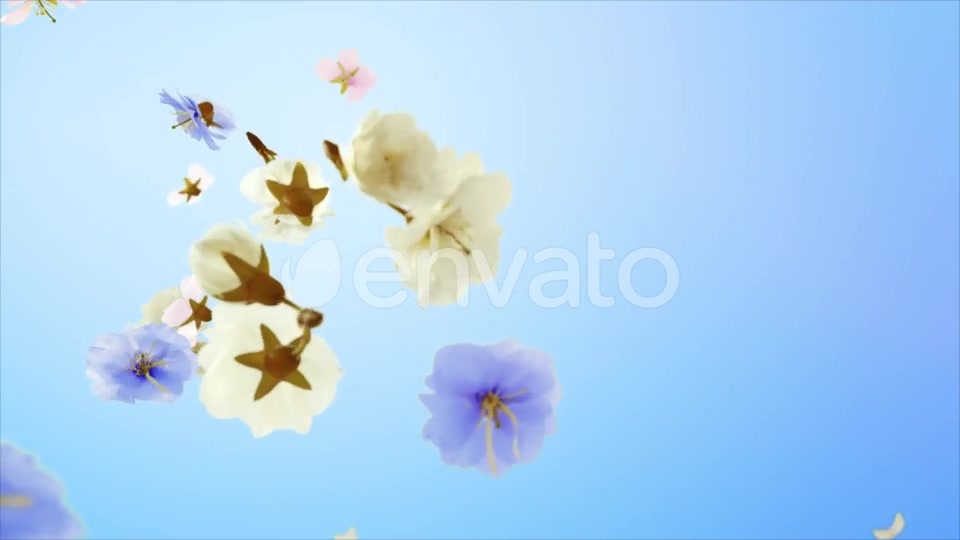 Flowers and Petals Logo Videohive 25477526 After Effects Image 5
