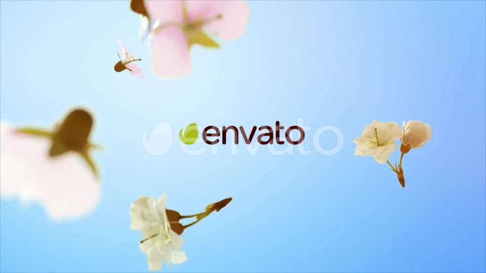 Flowers and Petals Logo Videohive 25477526 After Effects Image 7