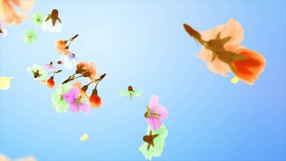 Flowers and Petals Logo - Videohive 25477526 Download