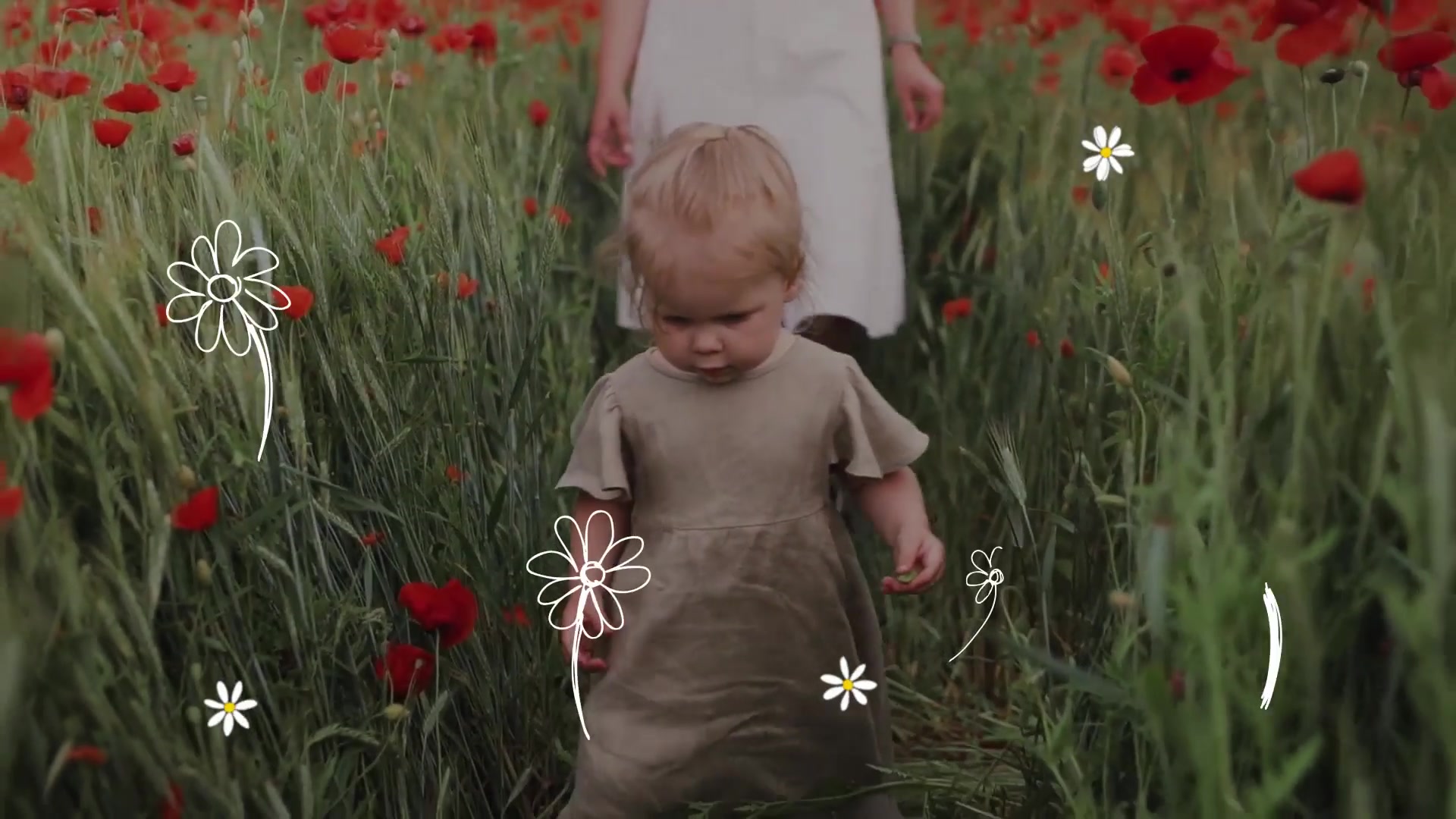 Flowers And Trees | Premiere Pro MOGRT Videohive 33929555 Premiere Pro Image 5