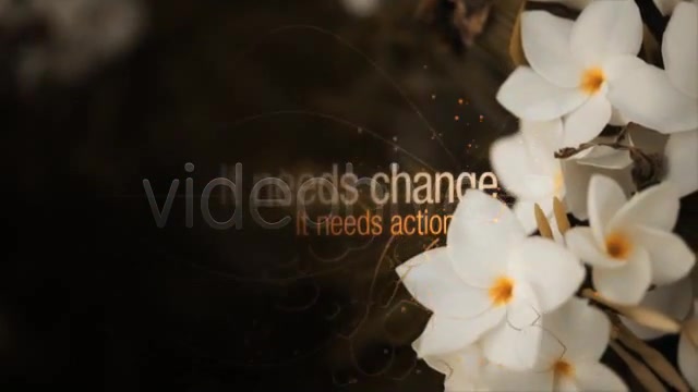 Flowers CS4 - Download Videohive 516680
