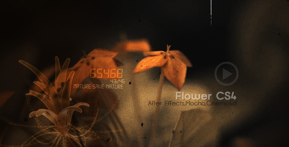 Flowers CS4 - Download Videohive 516680