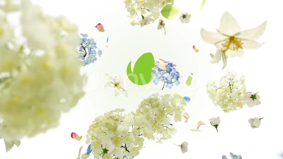 Flowers Dance Videohive 26286600 After Effects Image 6