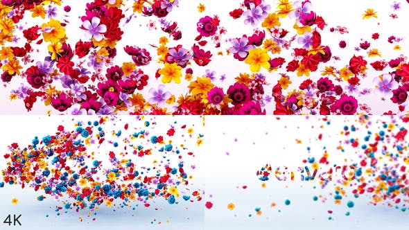 Flowers Logo Reveal - Videohive 23972271 Download