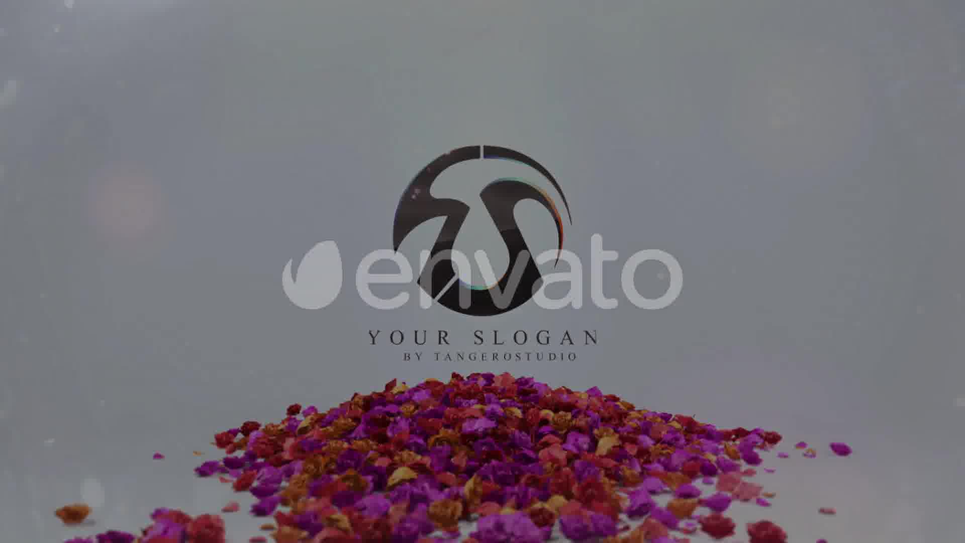 Flowers Logo V3 Videohive 27968204 After Effects Image 12