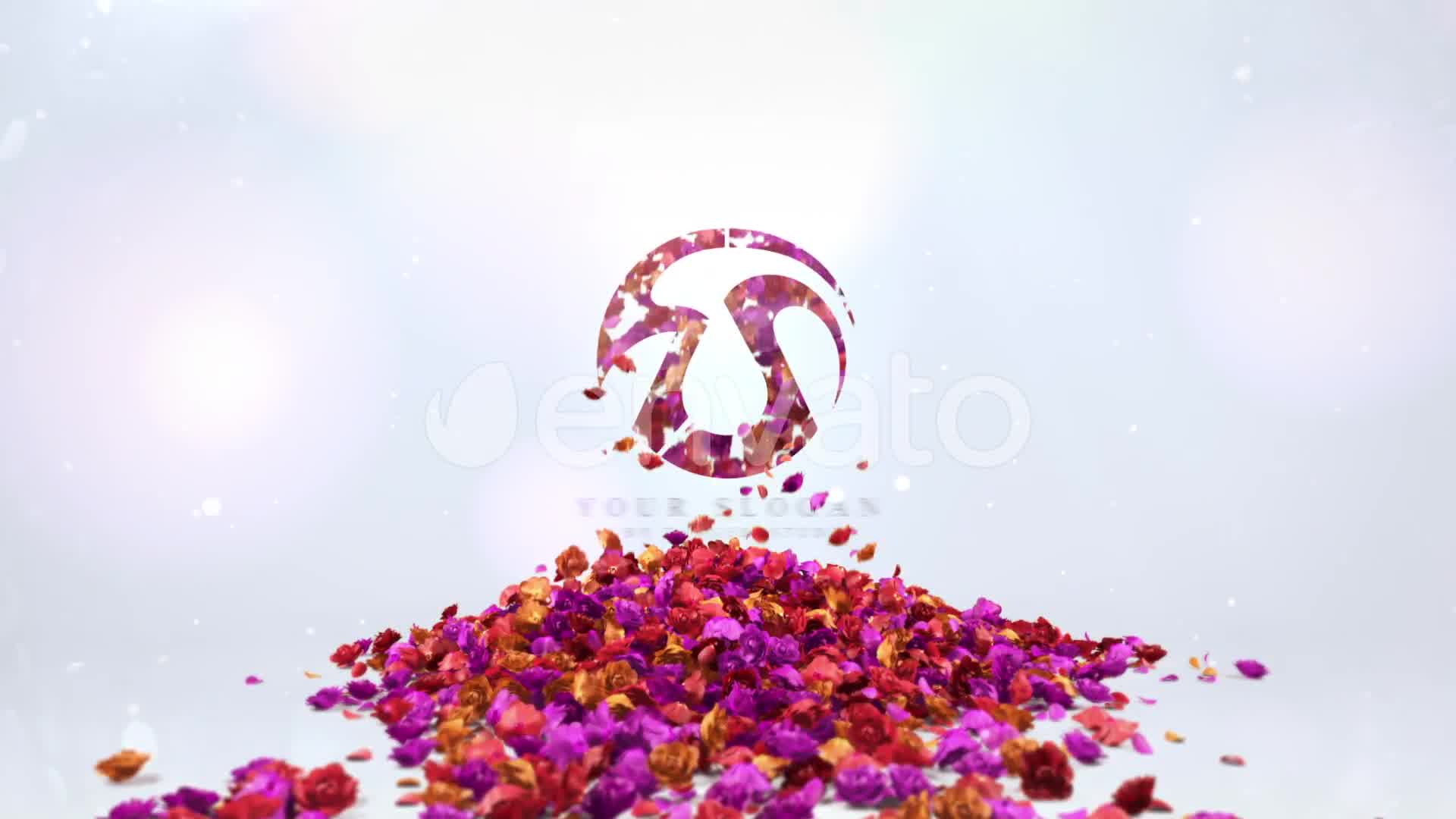 Flowers Logo V3 Videohive 27968204 After Effects Image 8