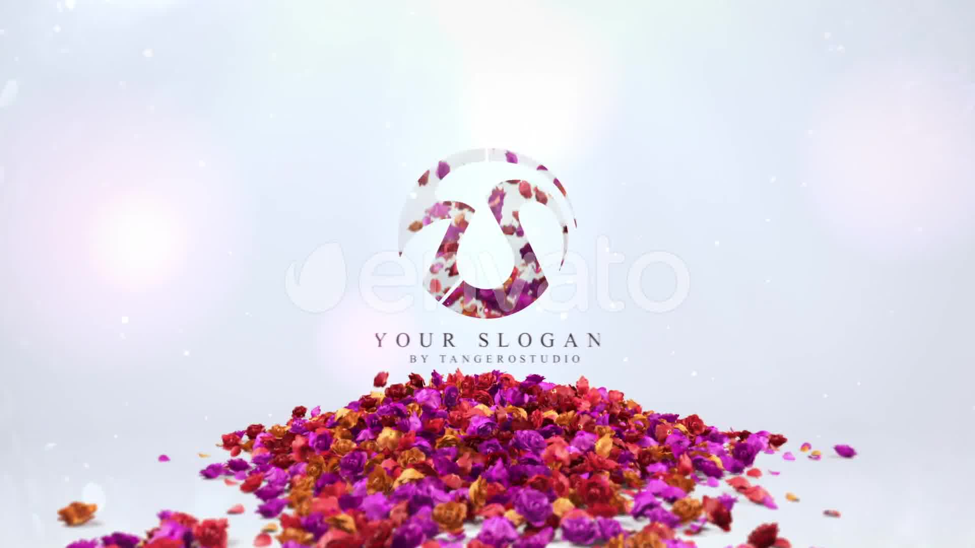Flowers Logo V3 Videohive 27968204 After Effects Image 9