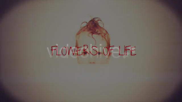 Flowers of life Videohive 419575 After Effects Image 12