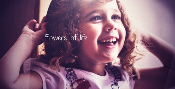 Flowers of life - 419575 Download Videohive