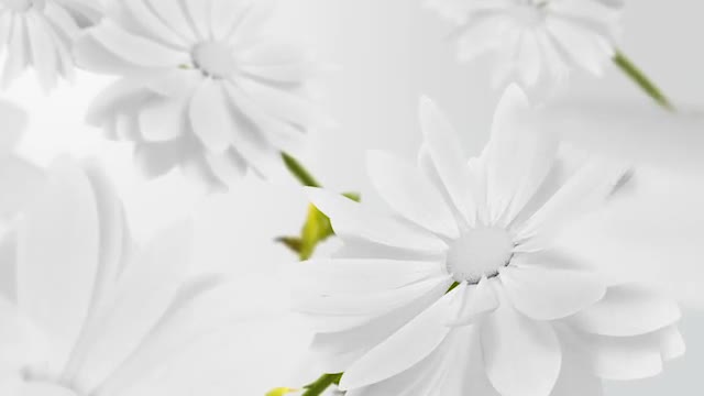 Flowers V1 Videohive 13461581 After Effects Image 1