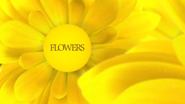 Flowers V1 Videohive 13461581 After Effects Image 11