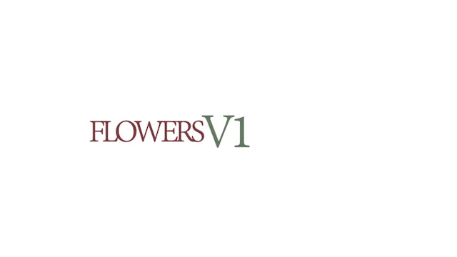 Flowers V1 Videohive 13461581 After Effects Image 12