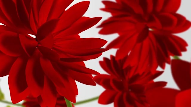 Flowers V1 Videohive 13461581 After Effects Image 4