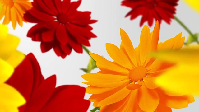 Flowers V1 Videohive 13461581 After Effects Image 8