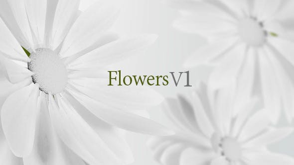 Flowers V1 - Videohive 13461581 Download