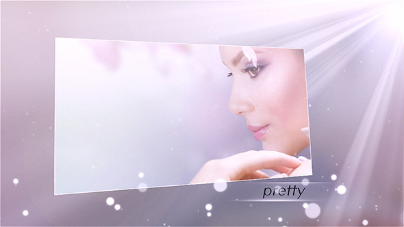Fly Gallery - Download Videohive 5047692