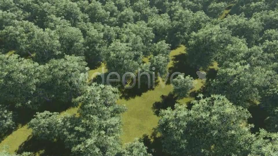 Fly Over Trees - Download Videohive 7752067