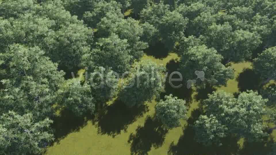 Fly Over Trees - Download Videohive 7752067