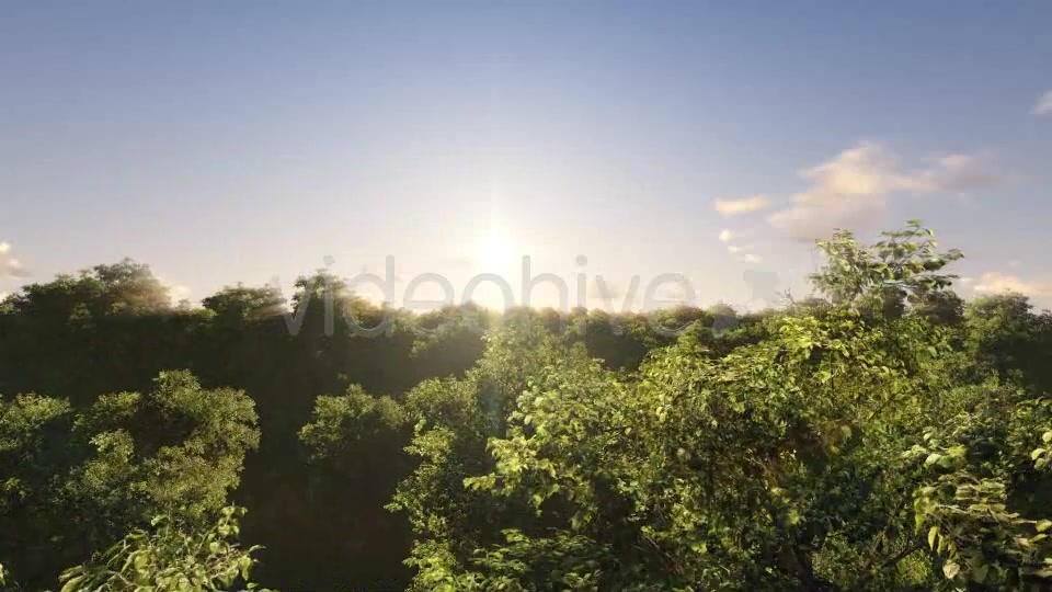 Fly Over Trees V2 - Download Videohive 7826570