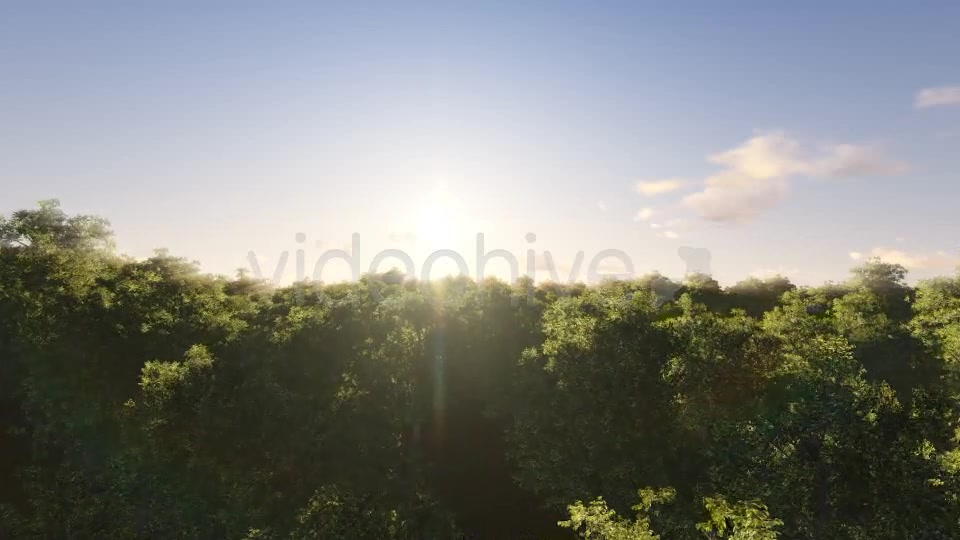 Fly Over Trees V2 - Download Videohive 7826570