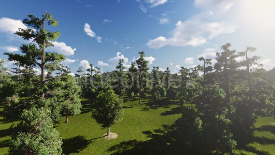 Fly through Forest 2 - Download Videohive 13047257