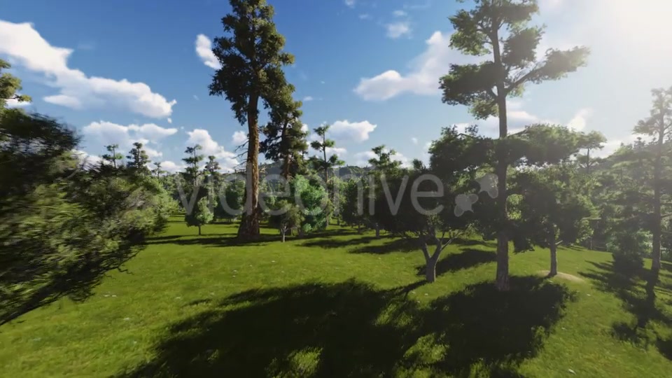 Fly through Forest 2 - Download Videohive 13047257