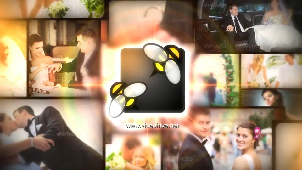 Fly Through Images Logo Reveal - Download Videohive 11733731