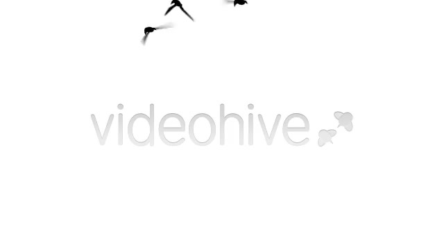 flying birds - Download Videohive 151791