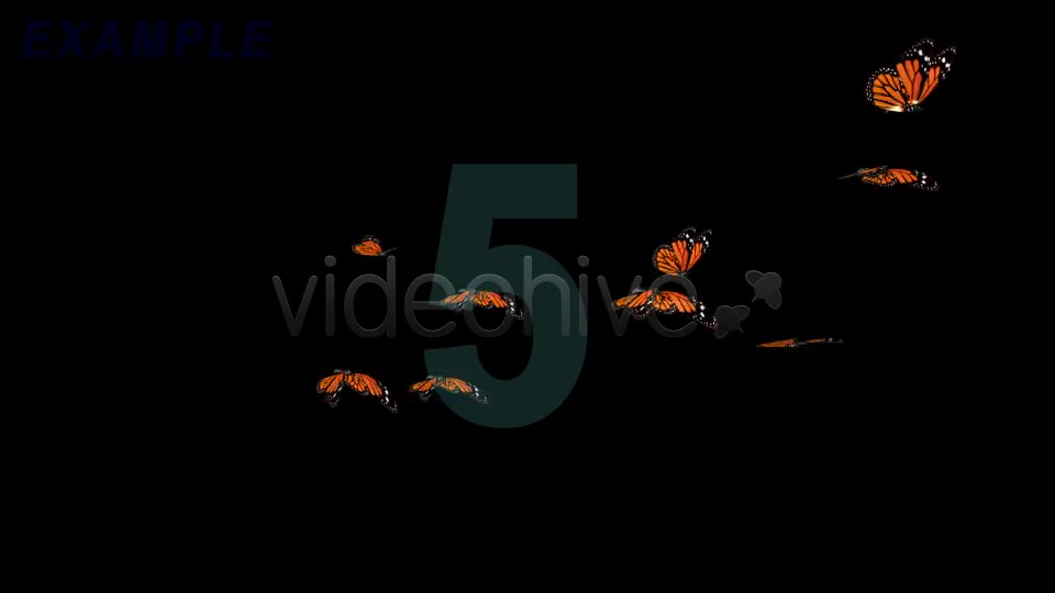 Flying Butterflies 60 FPS - Download Videohive 320060