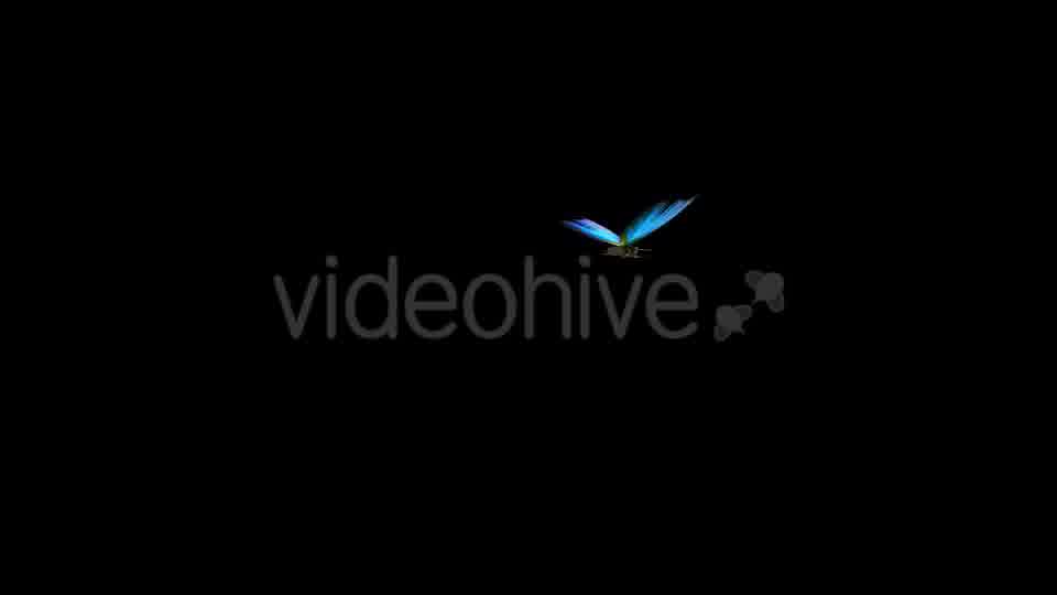 Flying Butterfly Blue Swallowtail Videohive 10072609 Motion Graphics Image 11