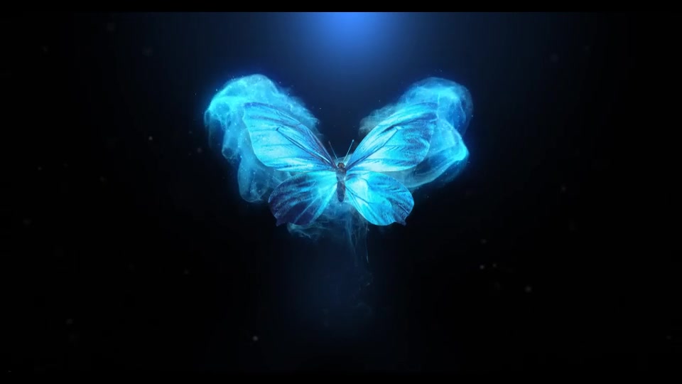 Flying Butterfly Logo Reveal 4k Videohive 22799595 After Effects Image 2