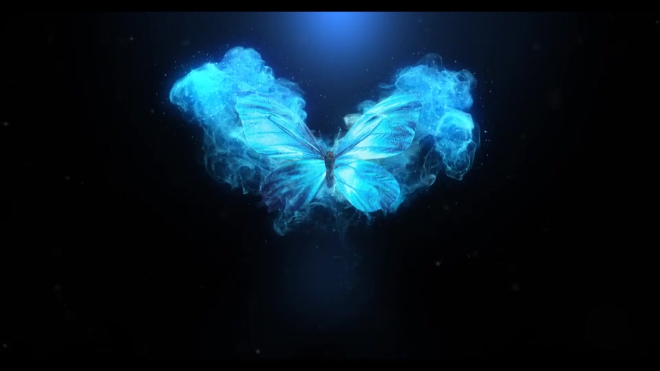 Flying Butterfly Logo Reveal 4k Videohive 22799595 After Effects Image 3