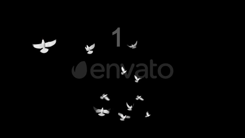 Flying Doves 1 Videohive 148154 Motion Graphics Image 1