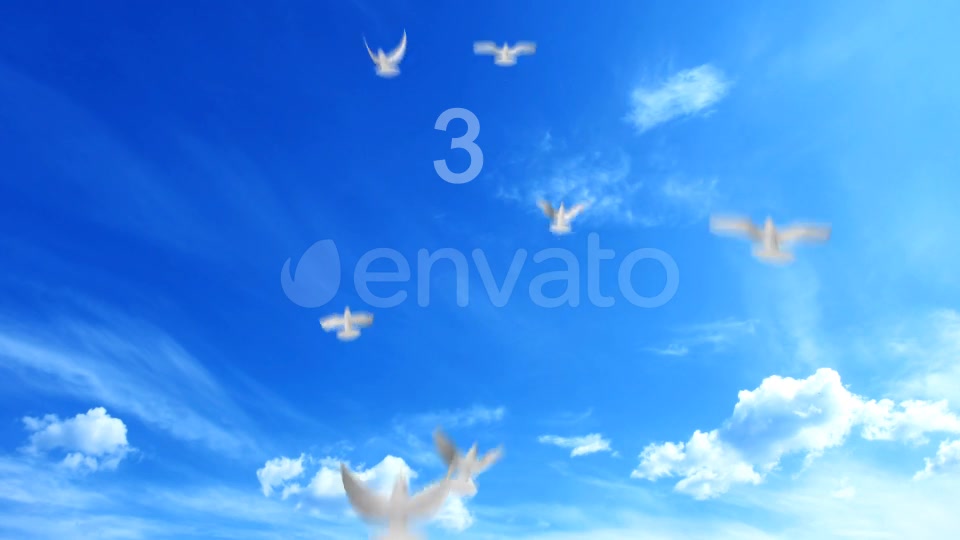 Flying Doves 1 Videohive 148154 Motion Graphics Image 10