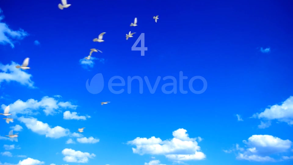 Flying Doves 1 Videohive 148154 Motion Graphics Image 11