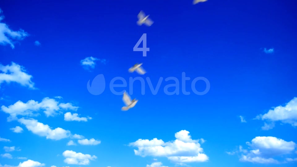 Flying Doves 1 Videohive 148154 Motion Graphics Image 12