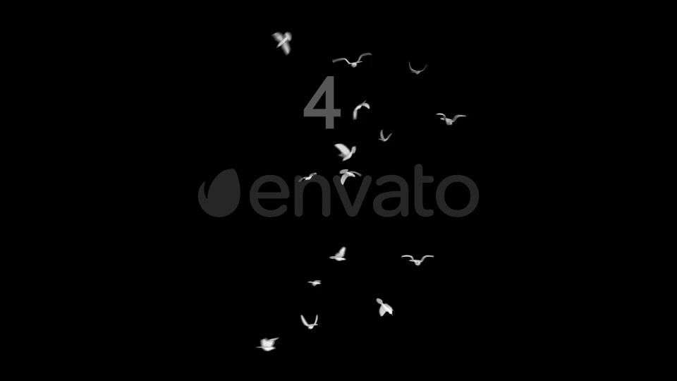 Flying Doves 1 Videohive 148154 Motion Graphics Image 5