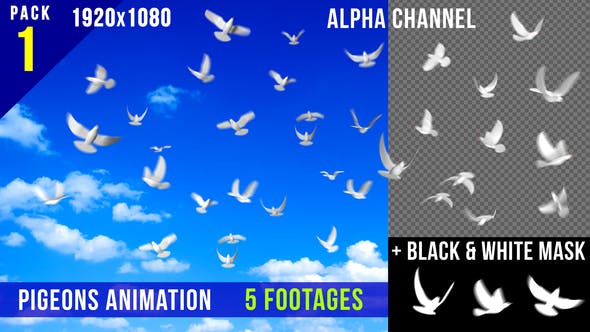 Flying Doves 1 - Download 148154 Videohive